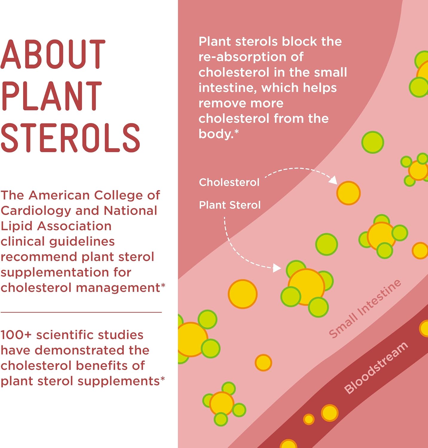 Plant Sterol Gummies for Cholesterol Health - 12 Week Supply by Piper Biosciences