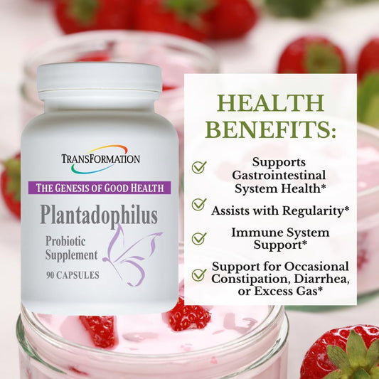 Plantadophilus Natural Plant-Based Probiotics Supplement for Digestive Health, Immune Support, Gut Balance - 90 Capsules, Non-GMO, Practitioner Recommended