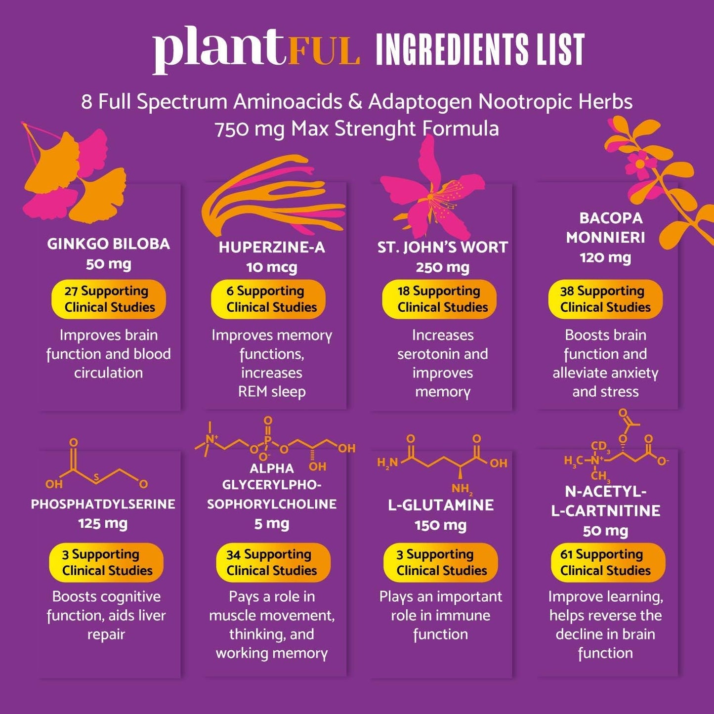 Plantful Research Nootropic Brain Supplement for Adults | Boost Focus, Energy, Memory, and Clarity with Fast-Absorbing Brain Vitamins containing Ginkgo Biloba, St. John's Wort, and Bacopa Monnieri