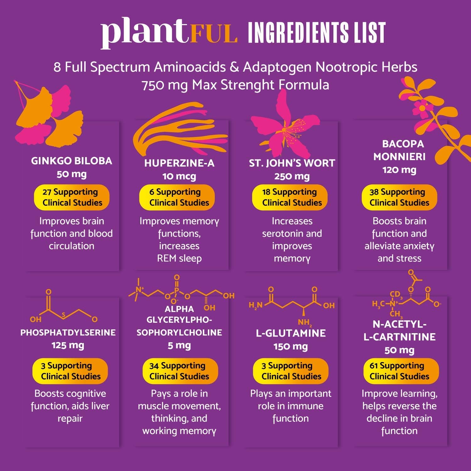 Plantful Research Nootropic Brain Supplement for Adults | Boost Focus, Energy, Memory, and Clarity with Fast-Absorbing Brain Vitamins containing Ginkgo Biloba, St. John's Wort, and Bacopa Monnieri