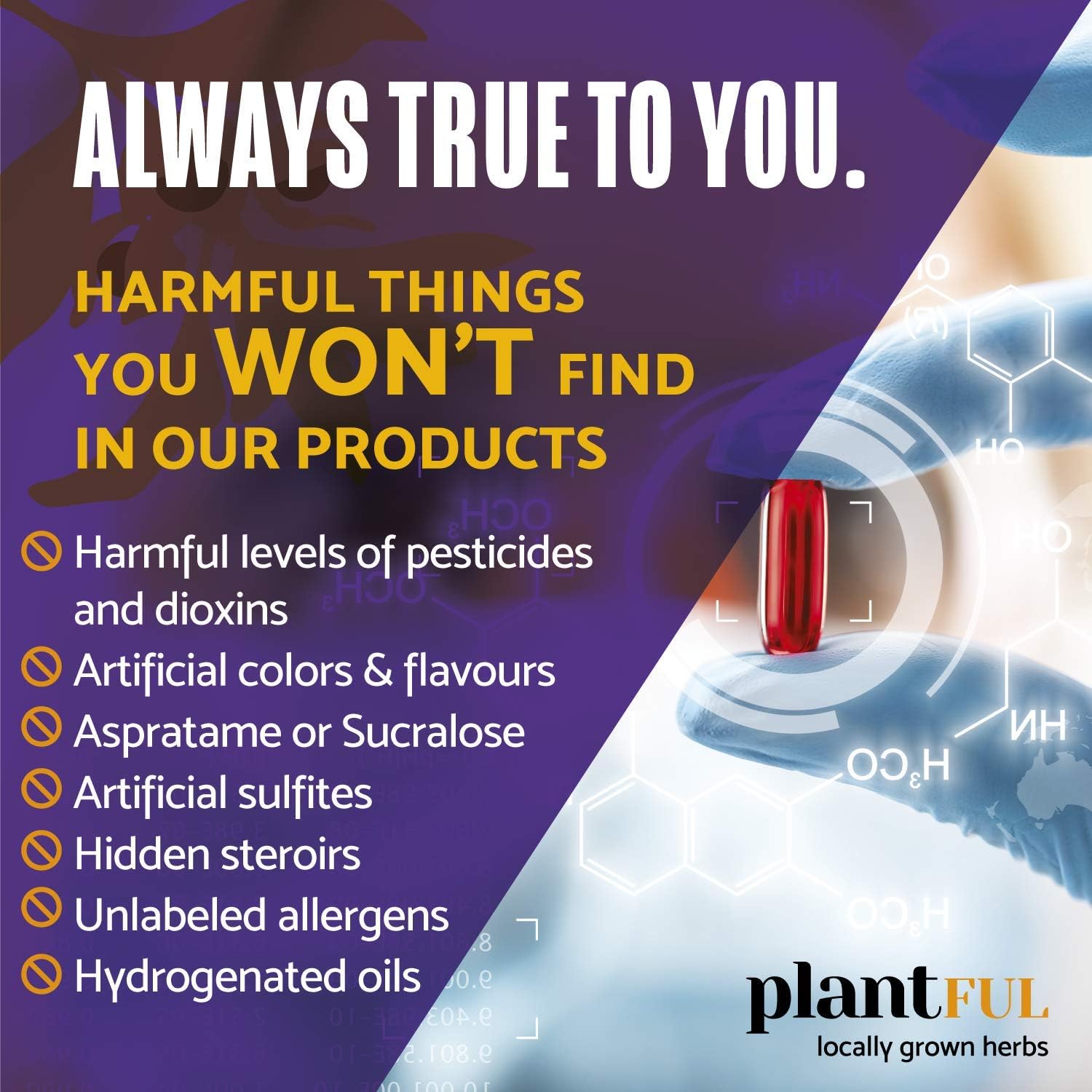 Plantful Research Nootropic Brain Supplement for Adults | Boost Focus, Energy, Memory, and Clarity with Fast-Absorbing Brain Vitamins containing Ginkgo Biloba, St. John's Wort, and Bacopa Monnieri