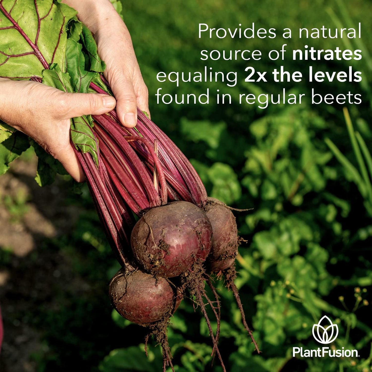 Plantfusion Organic Beet Root Powder for Blood Flow & Circulation - Superfood Supplement, Non-GMO, Vegan, Gluten-Free - 6.34 oz 30 Servings