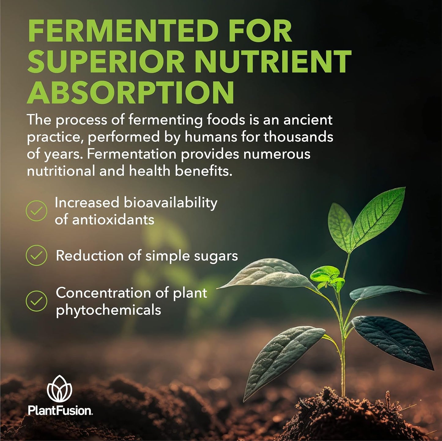 Plantfusion Organic Beet Root Powder for Blood Flow & Circulation - Superfood Supplement, Non-GMO, Vegan, Gluten-Free - 6.34 oz 30 Servings