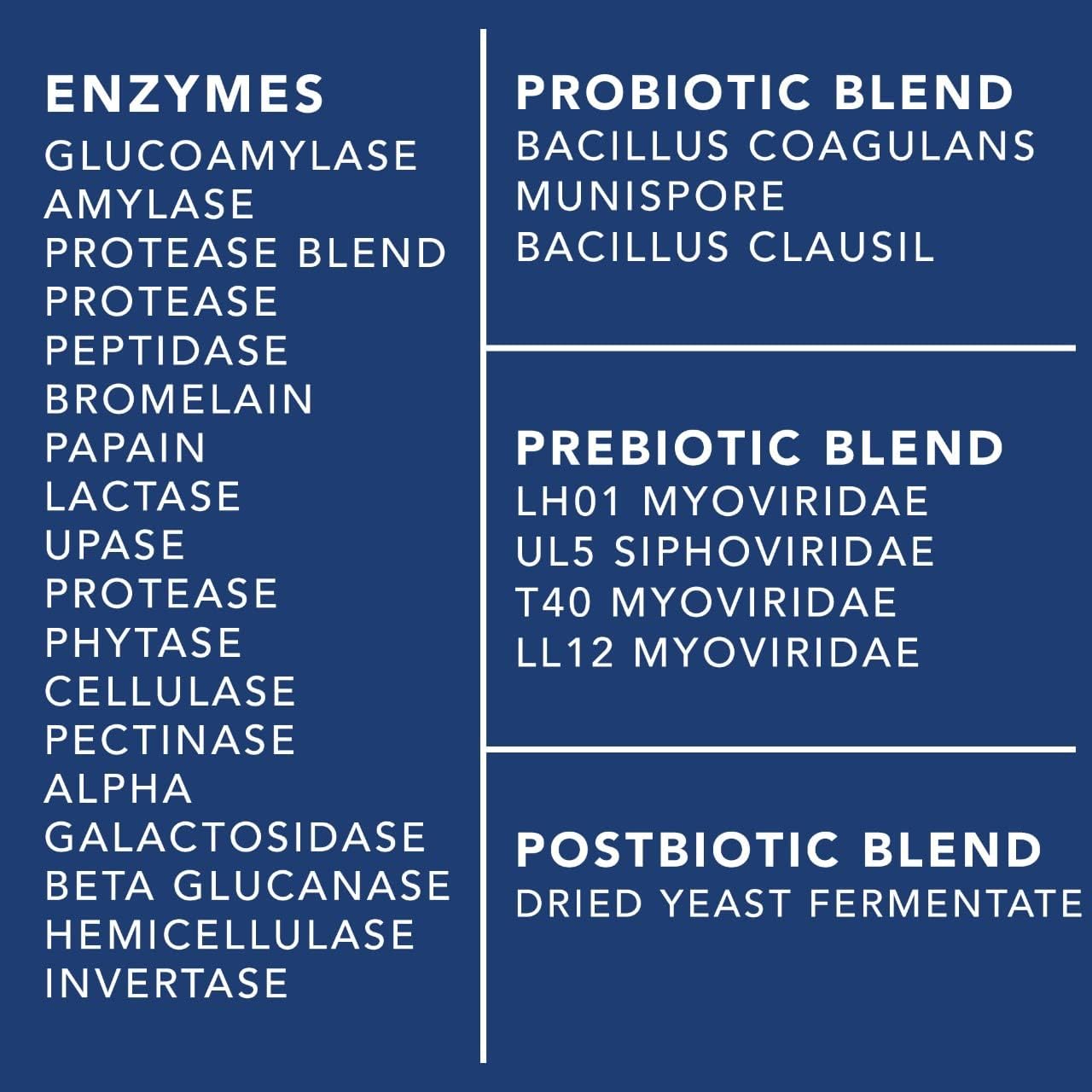 Plant.O Nutrition 4-in-1 Gut & Digestive Support Supplement for Women & Men, 60 Capsules