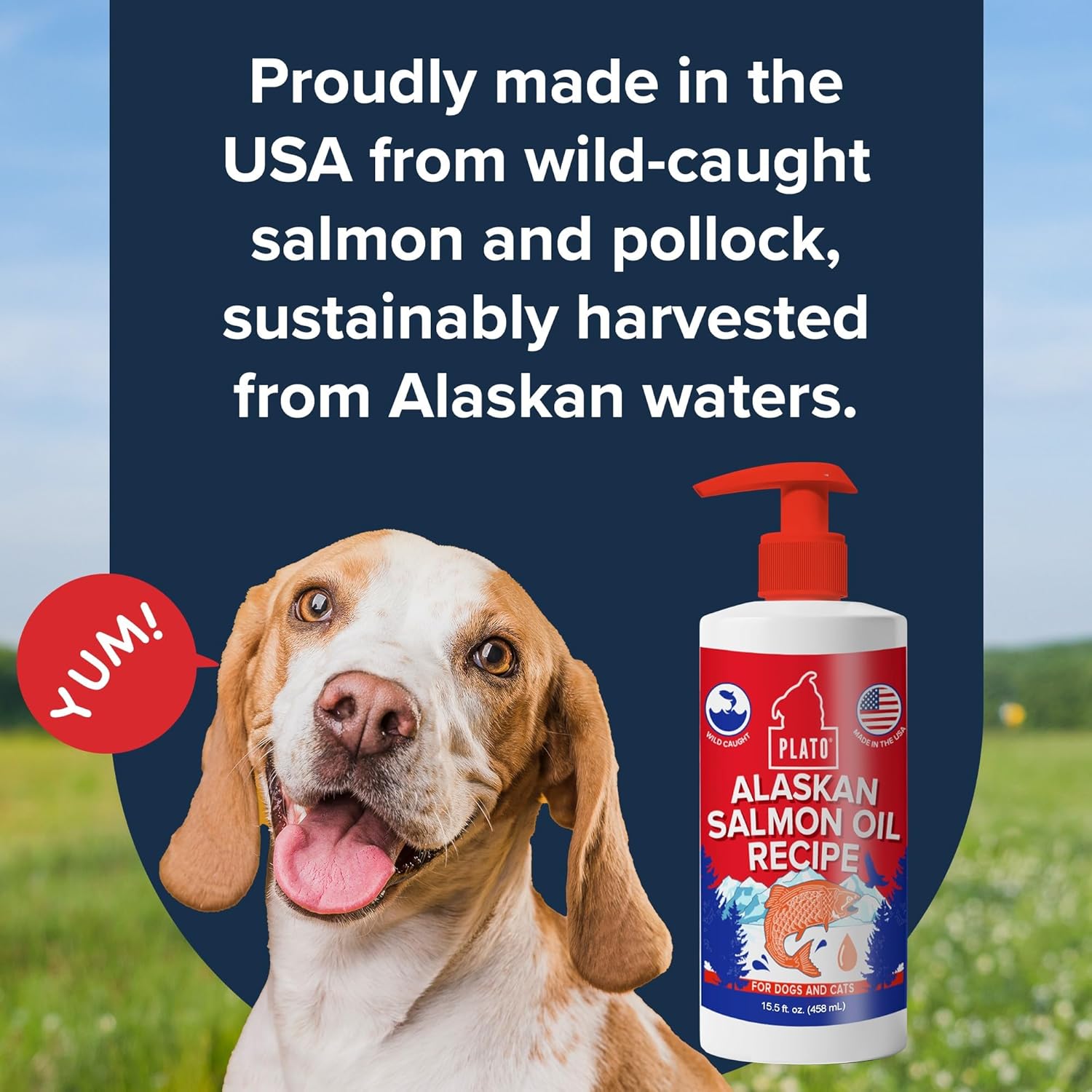 PLATO Wild Alaskan Salmon Oil Kibble Topper - Enhance Dog Food with Omega-3 & Omega-6 for Skin & Coat - 8 oz