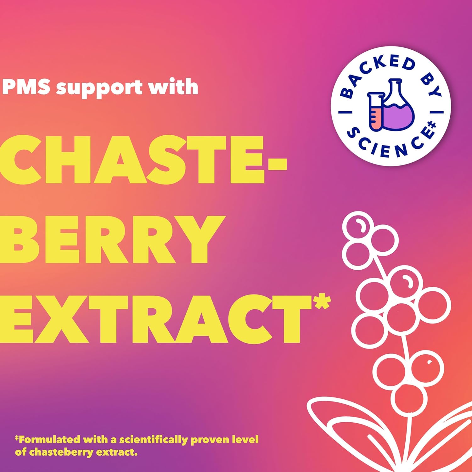 PMS Support Supplement with Chasteberry, Ginger Powder & Valerian Extract - 30 Count