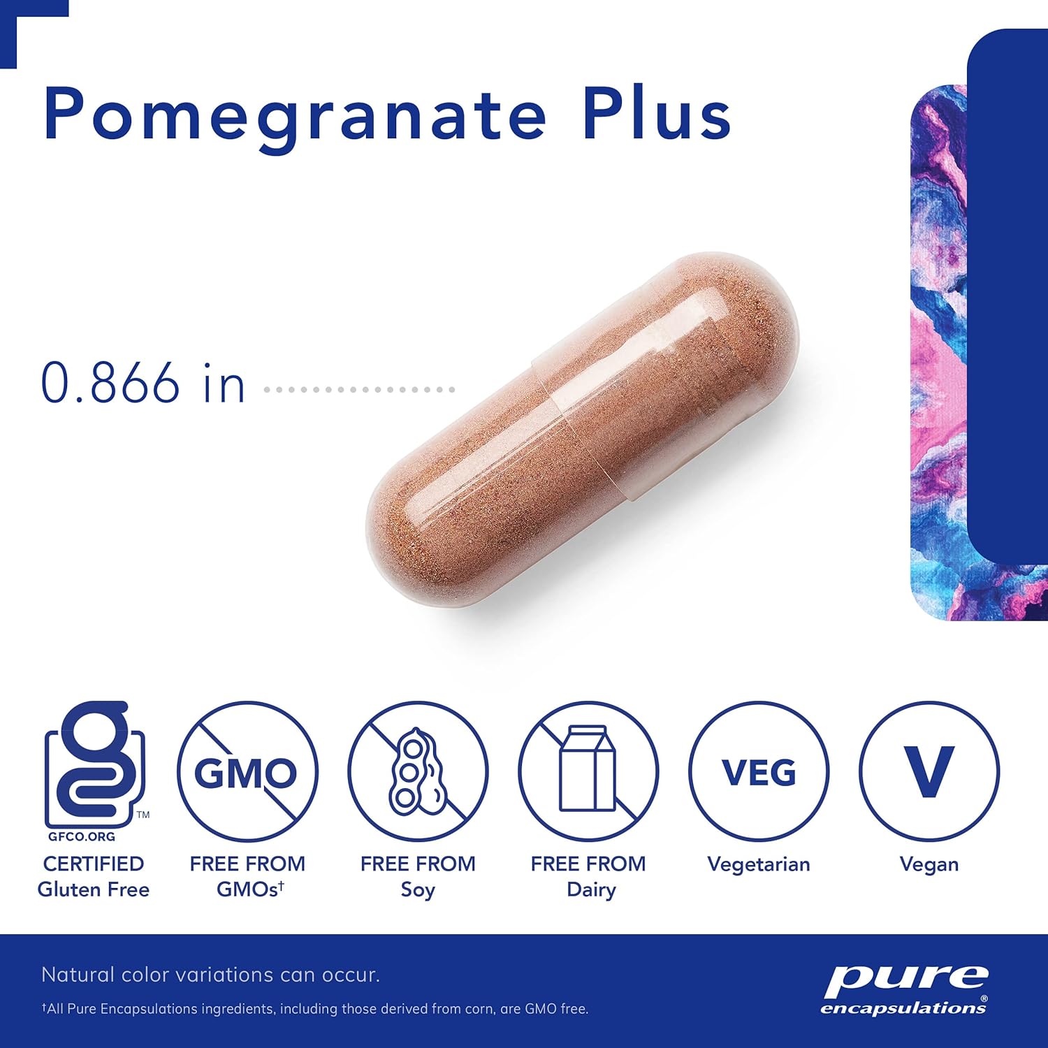 Pomegranate Plus Capsules for Vascular and Cellular Health - 120 Count