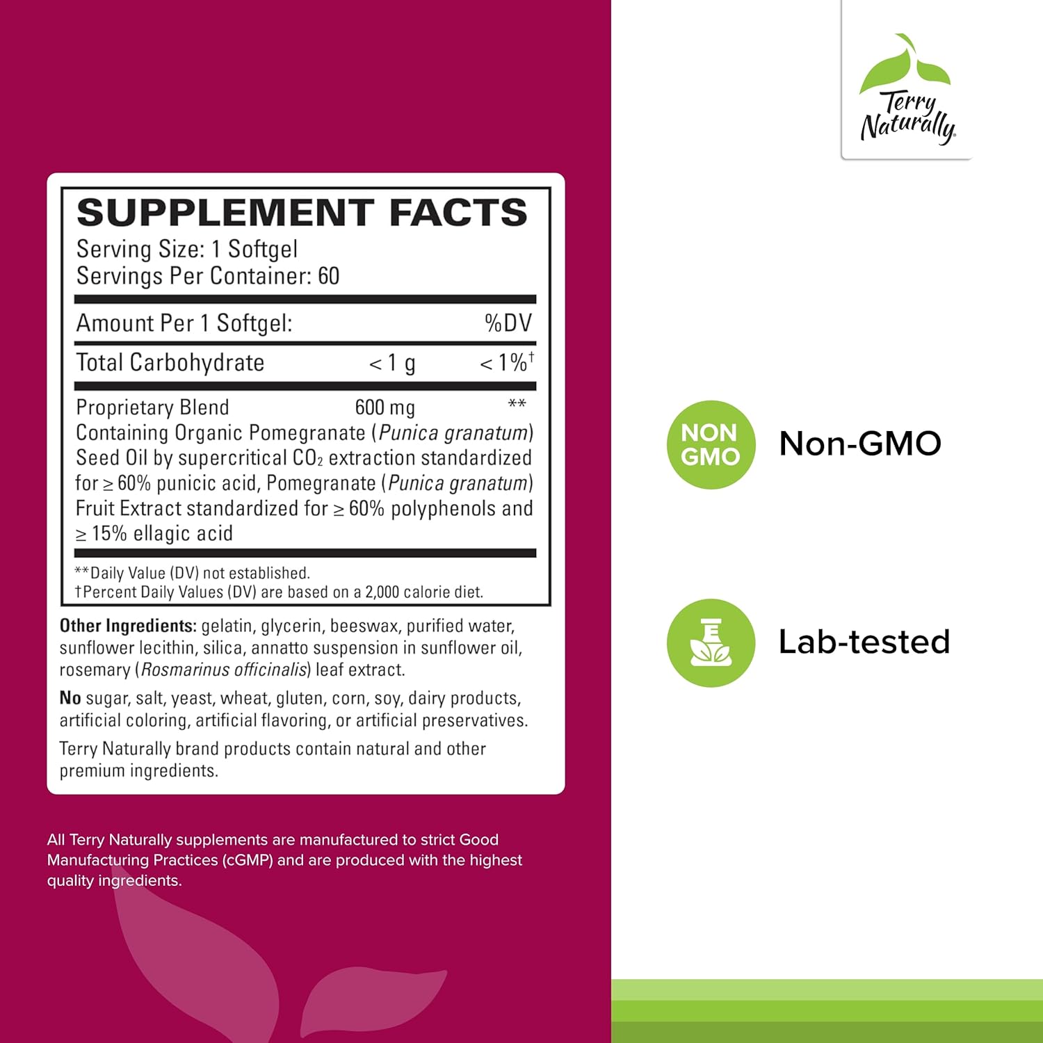 Pomegranate Seed Oil Softgels - Herbal Non-GMO Supplement for Cardiovascular Health - Omega-5 & Extract - 120 Softgels (2 Pack)