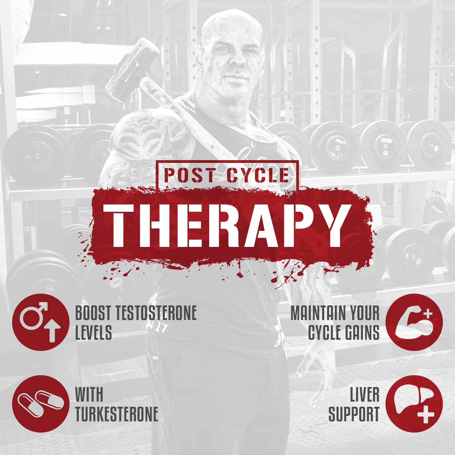 Post Cycle Therapy Supplement with Estrogen Blocker and Aromatase Inhibitor - 240 Capsules