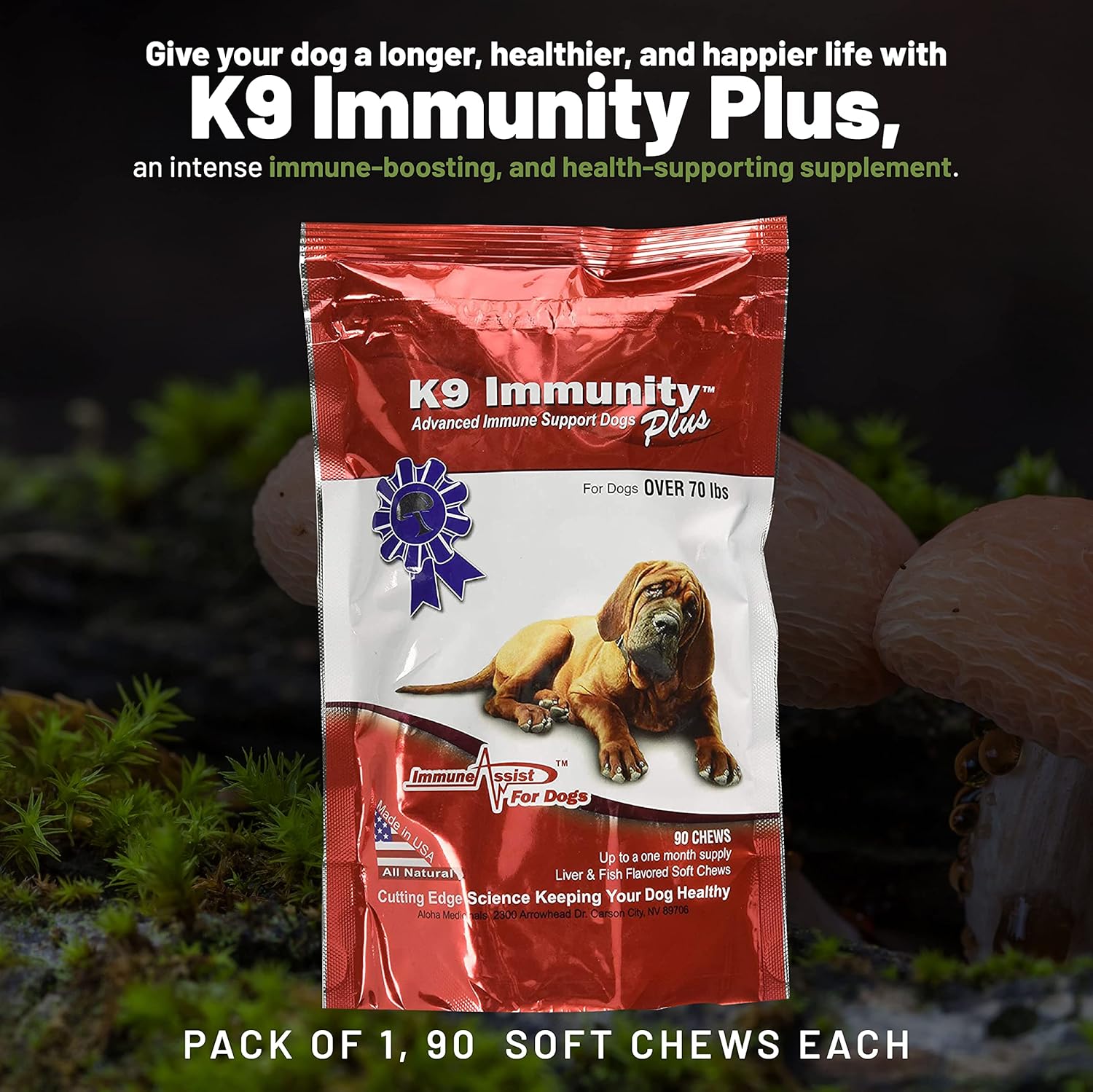 Potent Immune Booster for Large Dogs - Aloha Medicinals K9 Immunity Plus, 90 Soft Chews