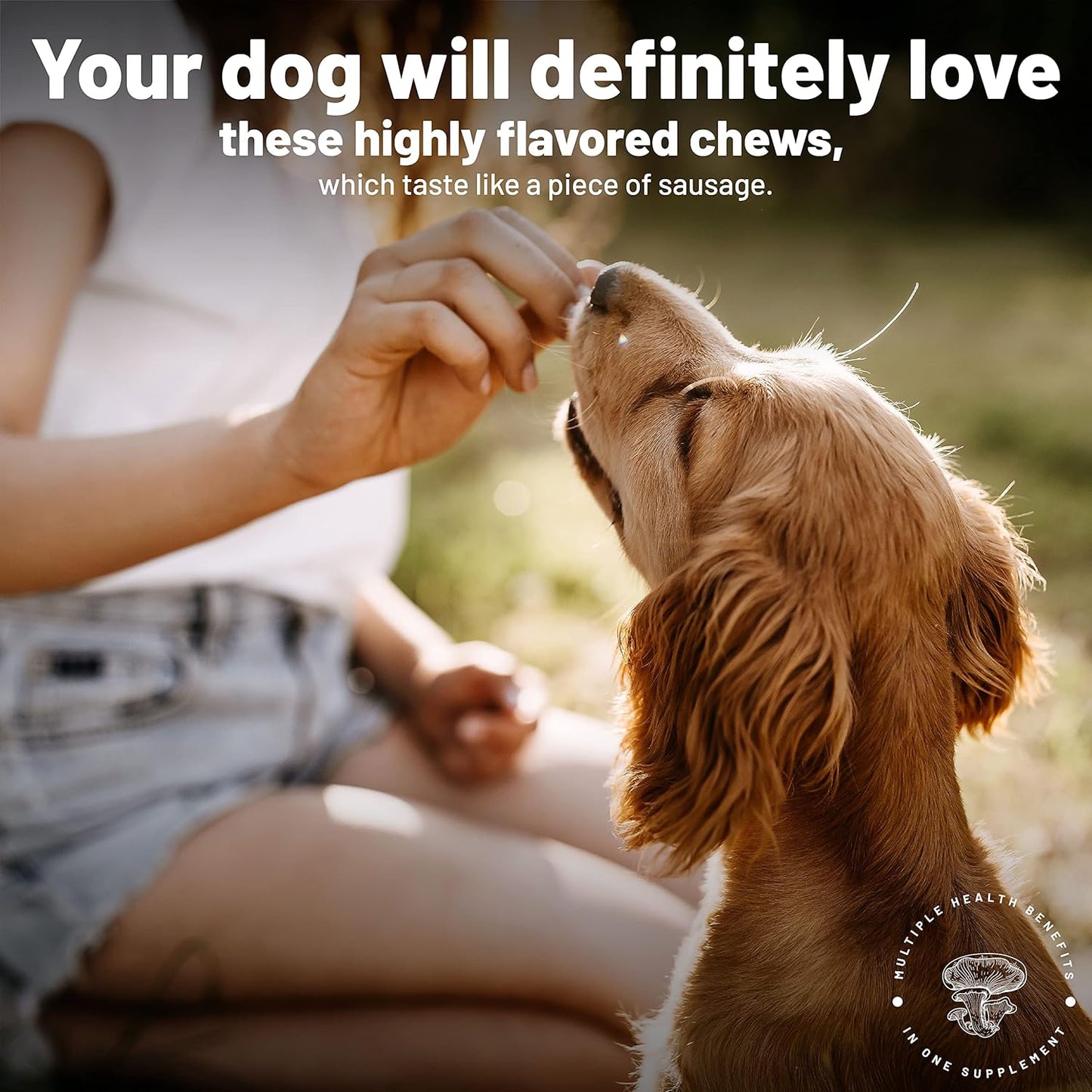 Potent Immune Booster for Large Dogs - Aloha Medicinals K9 Immunity Plus, 90 Soft Chews