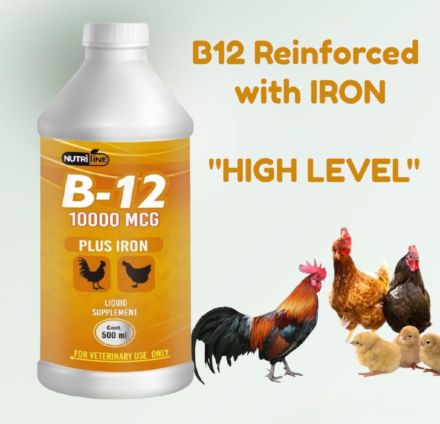 Poultry Multivitamin Booster Liquid with Vitamin B-12 - 16 oz Bottle for Roosters, Hens, and Chickens