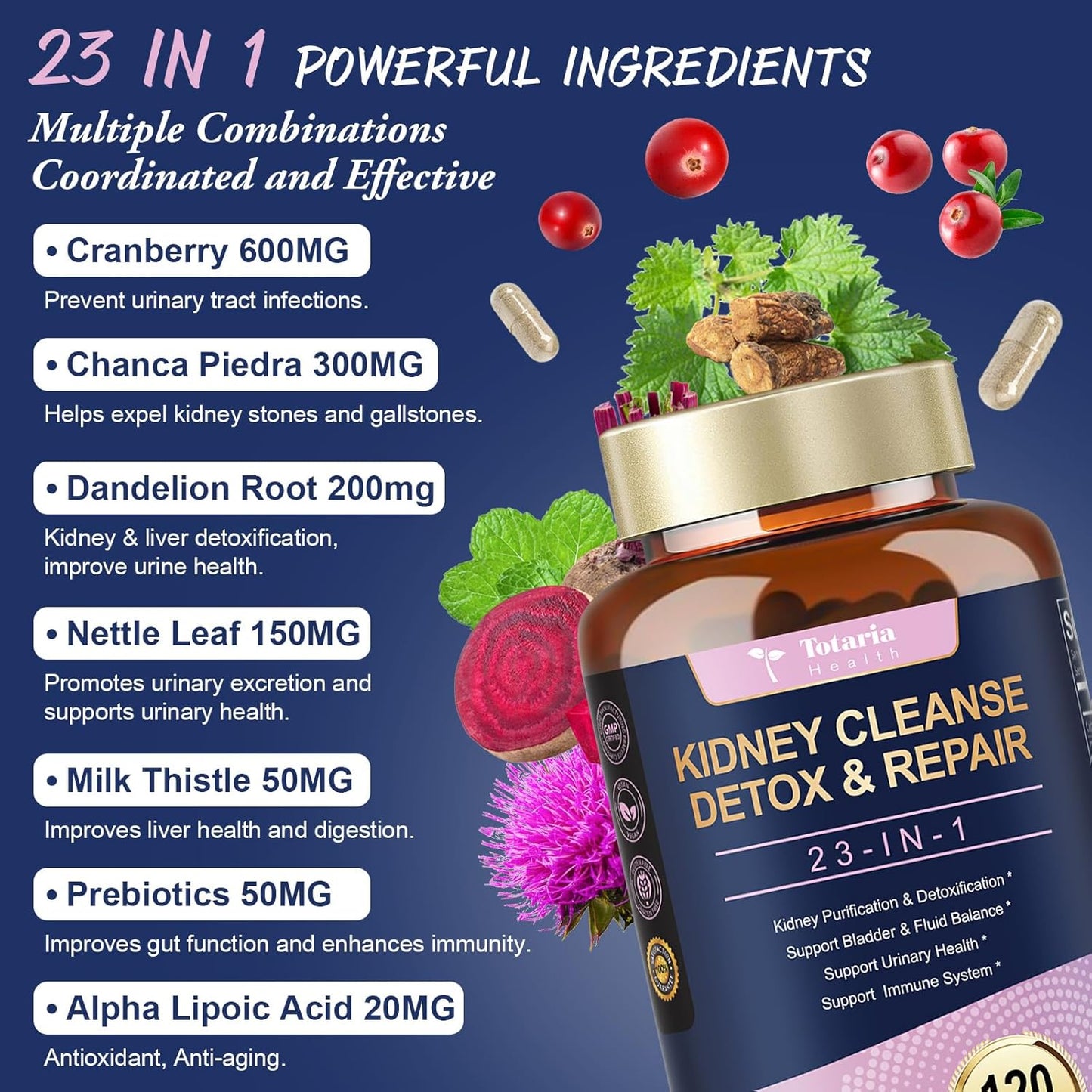 Powerful Kidney Support Supplement with Chanca Piedra & Cranberry - 120 Capsules for Urinary Tract Health & Kidney Stones Dissolver