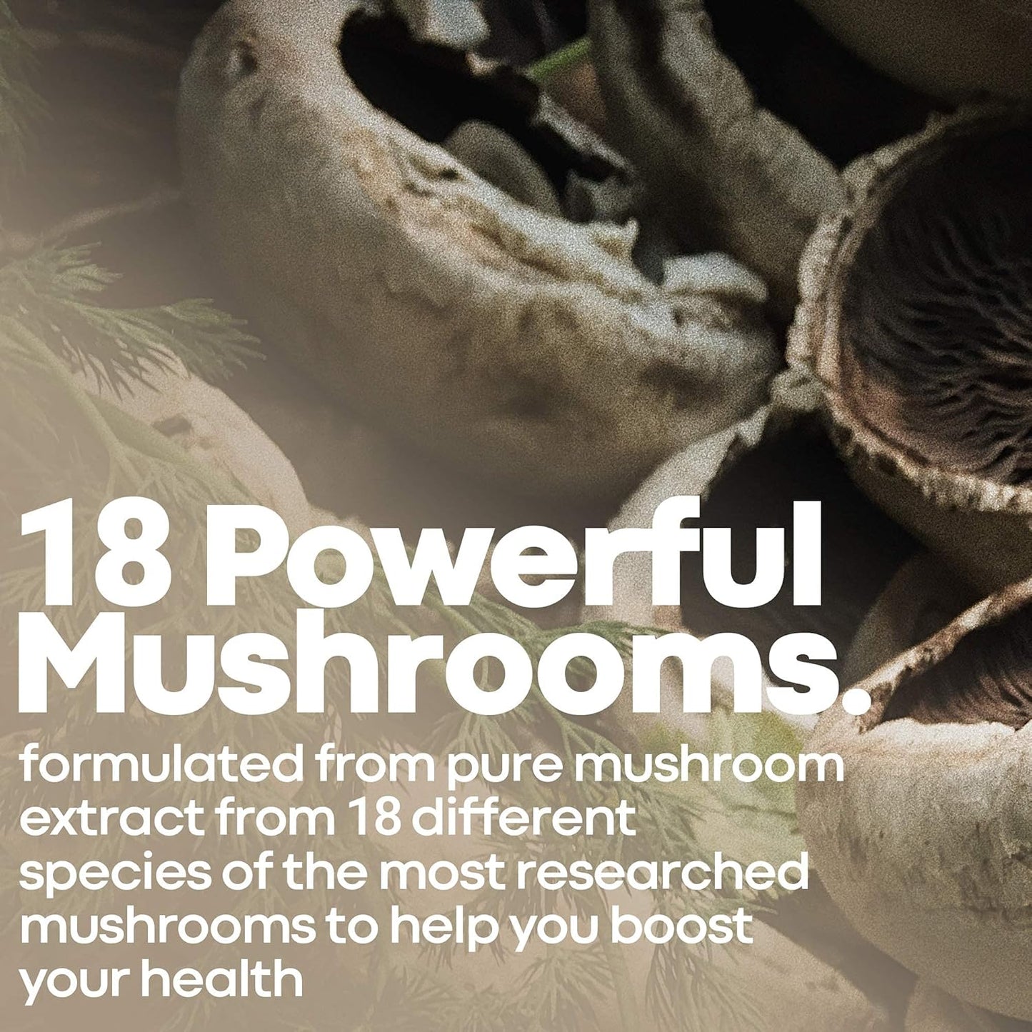Powerful Mushroom Complex Supplement for Immune System & Brain Support, 120 Vegan Capsules by Herbtonics