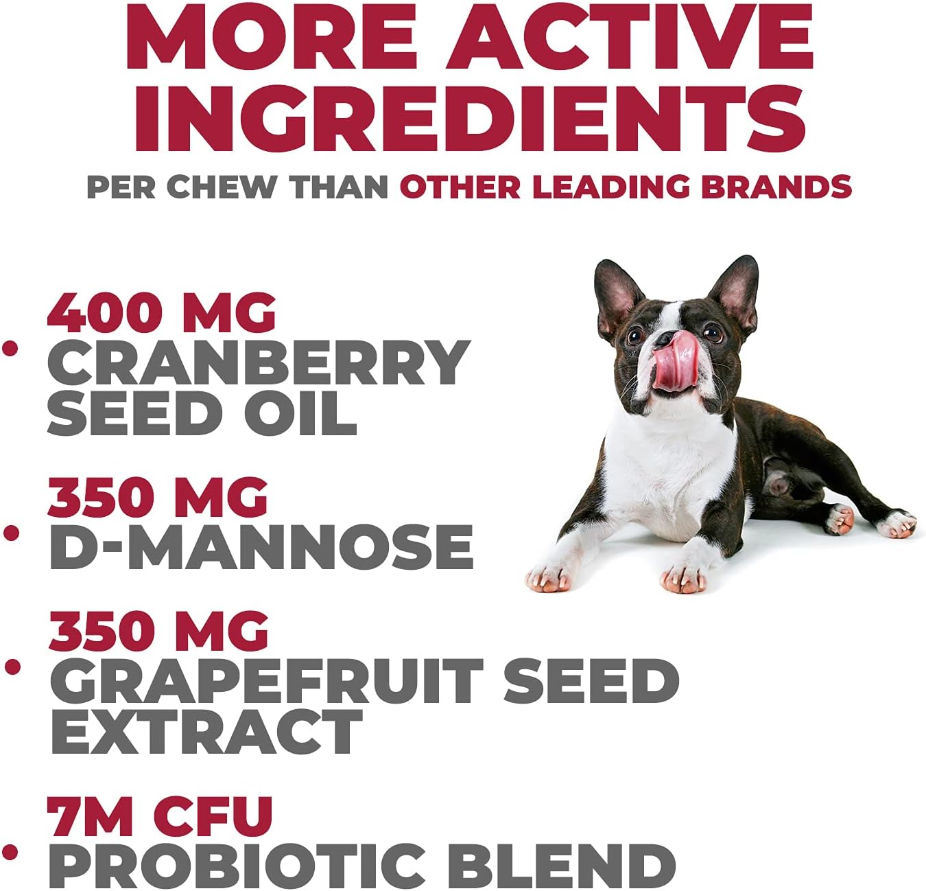 Powerful Pet Supplement for Dog UTI Treatment - MAX Strength Cranberry & D-Mannose Chews for Bladder & Kidney Health