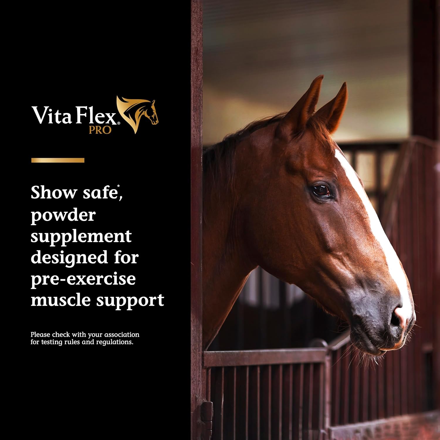 Pre Performance Muscle and Metabolism Support Supplement for Horses - Vita Flex Pro Lactanase, Show Safe Formula