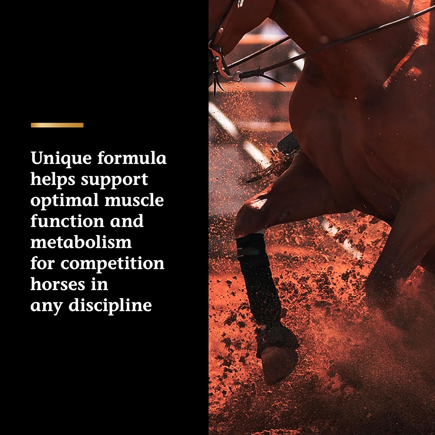 Pre Performance Muscle and Metabolism Support Supplement for Horses - Vita Flex Pro Lactanase, Show Safe Formula