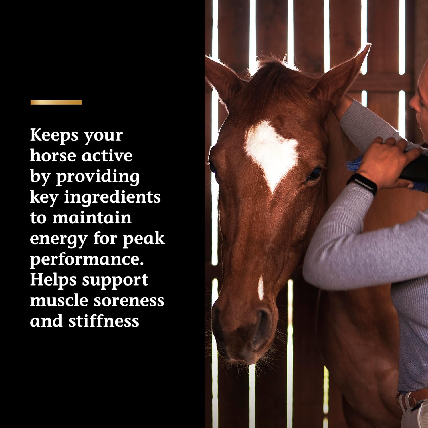 Pre Performance Muscle and Metabolism Support Supplement for Horses - Vita Flex Pro Lactanase, Show Safe Formula