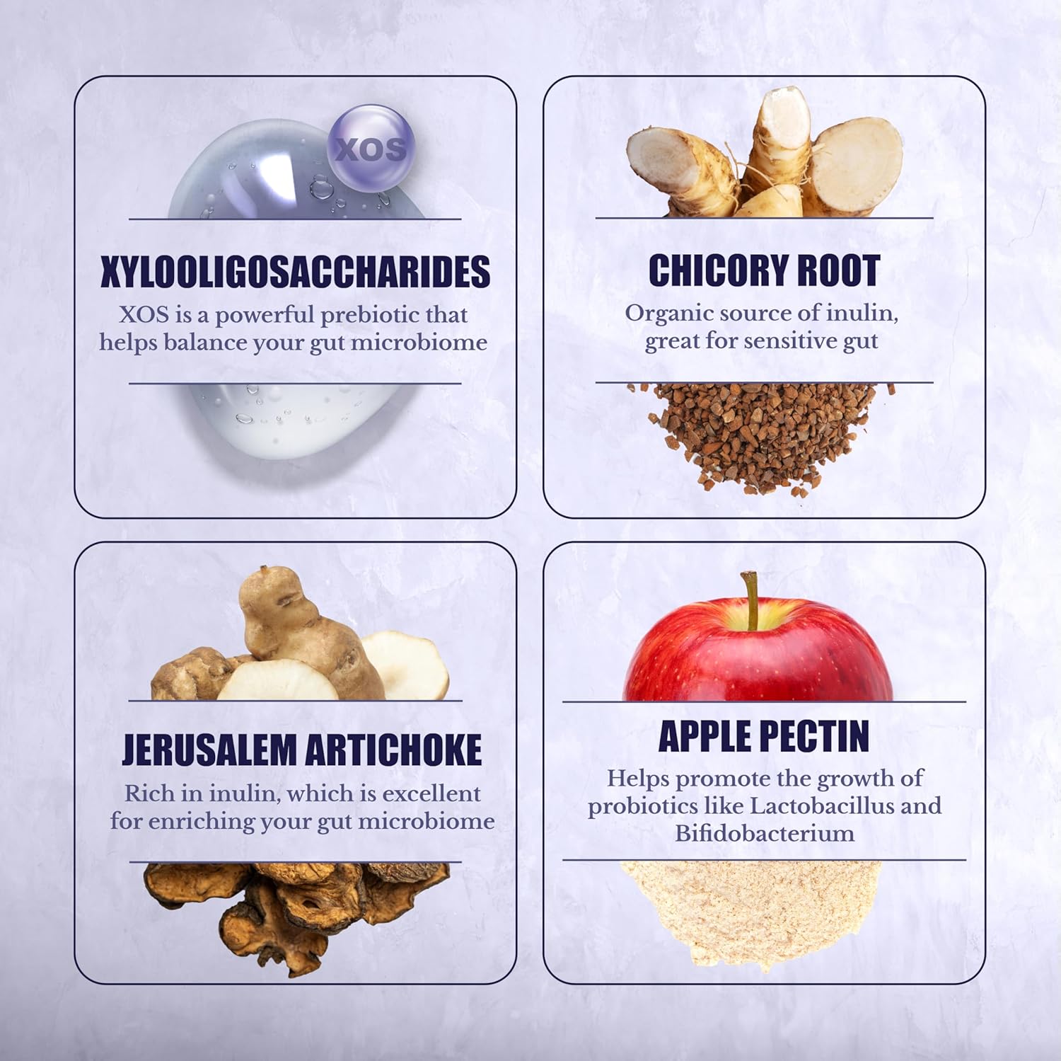 Prebiotic Capsules for Digestion, Immunity, and Wellness with Inulin - 90 Capsules for Men and Women - Made with Jerusalem Artichoke and Chicory Root