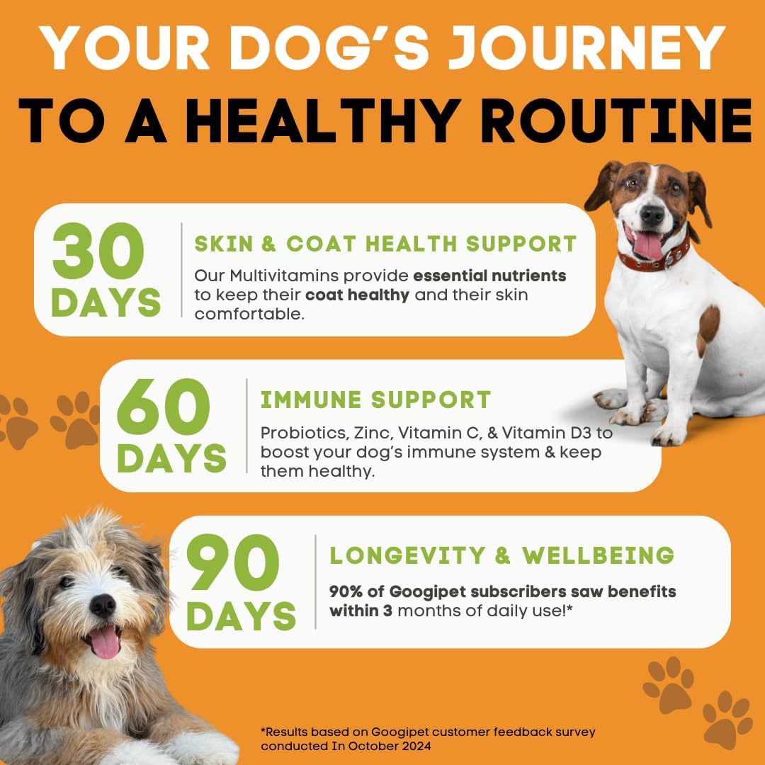 Premium 10 in 1 Dog Vitamins Multivitamin Chewable with Probiotics for Gut Health, Vitamin C & Glucosamine - Chicken & Vegetable Flavor