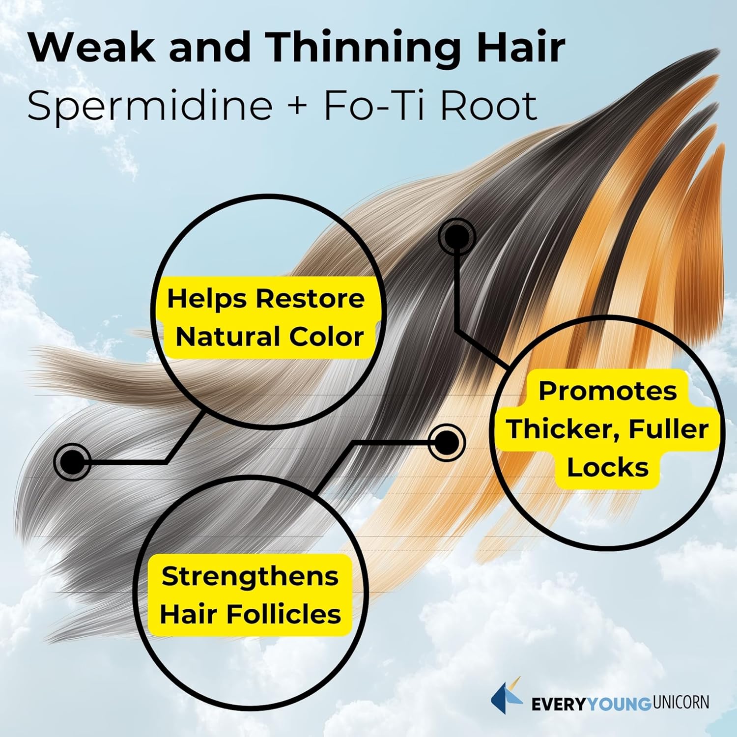 Premium 100% Natural Super Spermidine Supplements for Youthful Hair Growth and Cellular Health | Anti Aging Formula for Men and Women | 4X Ingredients