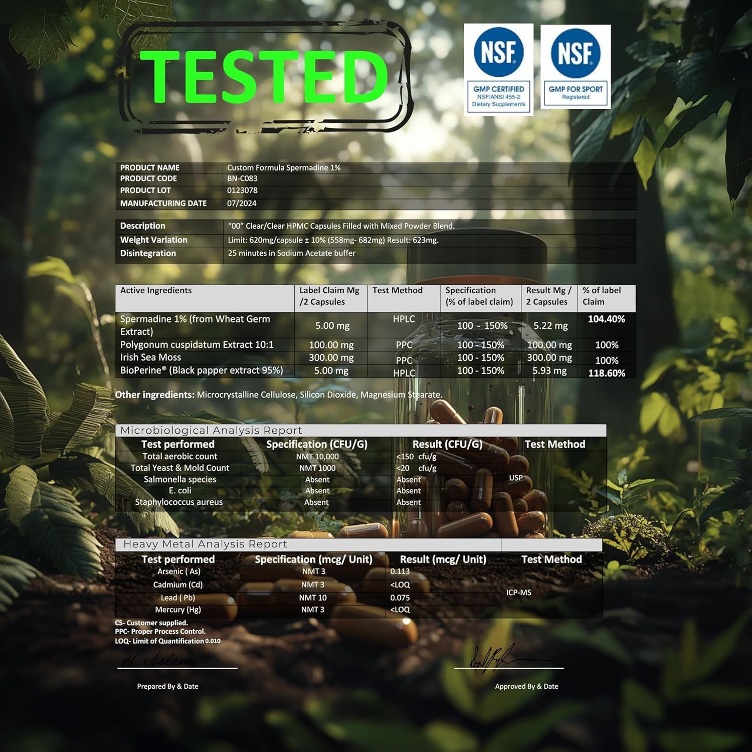 Premium 100% Natural Super Spermidine Supplements for Youthful Hair Growth and Cellular Health | Anti Aging Formula for Men and Women | 4X Ingredients