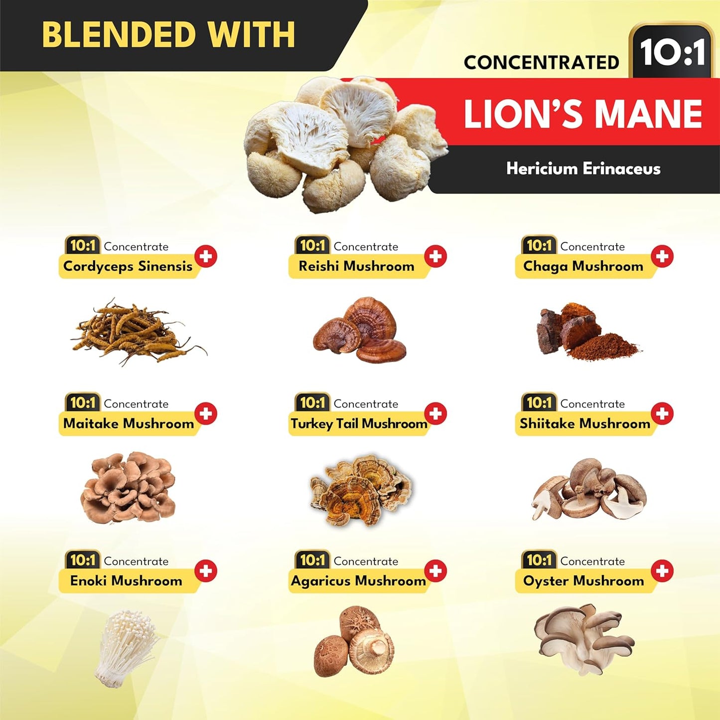Premium 10in1 Mushroom Complex Supplements Capsules - 4 Month Supply - Includes Lions Mane, Cordyceps, Reishi, Chaga, Maitake, Shitake - 2 Packs of 60 Capsules