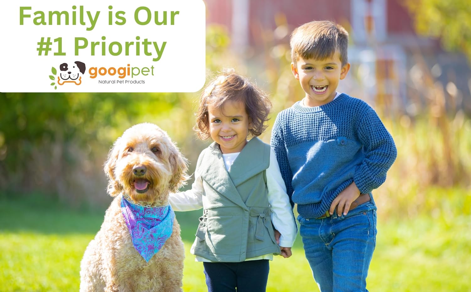 Premium 3-in-1 Probiotics for Dogs with Digestive Enzymes & Prebiotics - Natural Pet Supplement for Dog Diarrhea, Constipation, Allergies & Immunity - Googipet Dog Probiotic Chews