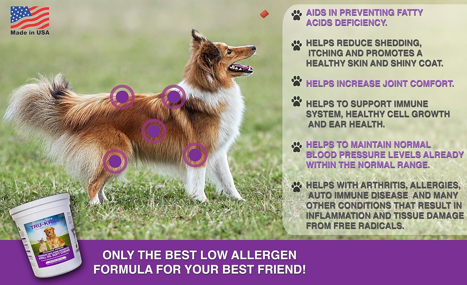 Premium Antarctic Krill Oil Soft Chews for Dogs | Omega 3, Astaxanthin, Vitamin E | Skin & Coat Support | Low Allergen & Calorie | Made in USA | 60 Chews