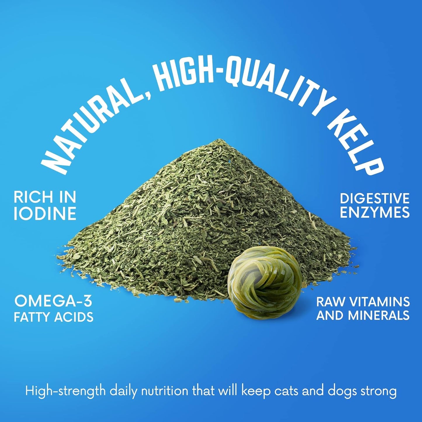 Premium Back 40 Dogs Kelp Powder Supplement - 453g for Optimal Pet Health - Rich in Iodine & Omegas - Supports Thyroid, Dental, Immune, Digestive, & Heart Health