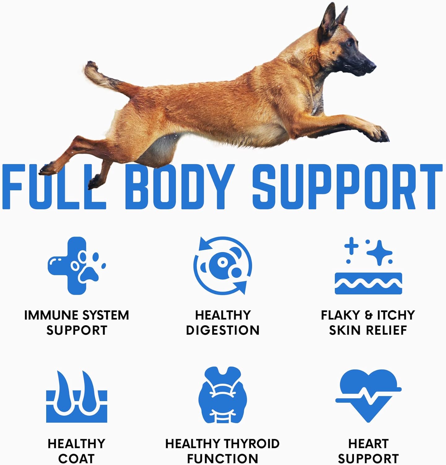Premium Back 40 Dogs Kelp Powder Supplement - 453g for Optimal Pet Health - Rich in Iodine & Omegas - Supports Thyroid, Dental, Immune, Digestive, & Heart Health