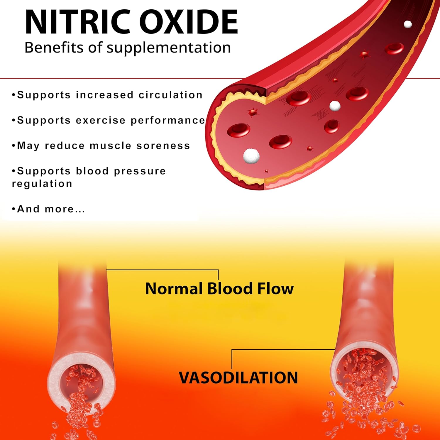 Premium Beet Root Nitric Oxide Supplement Powder - 60 Servings for Men & Women by Nitrolithic Labs