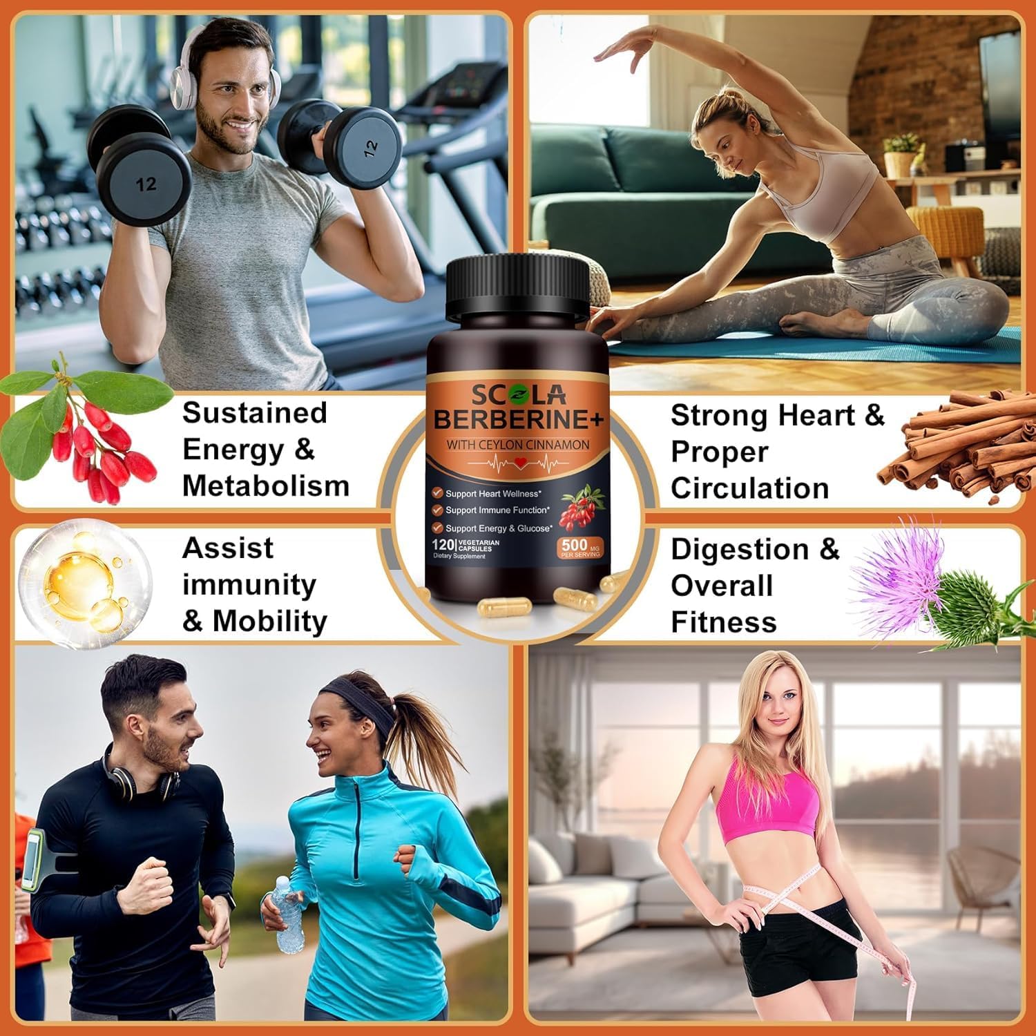 Premium Berberine HCL 500mg with Organic Ceylon Cinnamon - 120 Capsules - Supports Immune, Gut, and Heart Health - Vegan and Non-GMO Berberine HCI Supplement