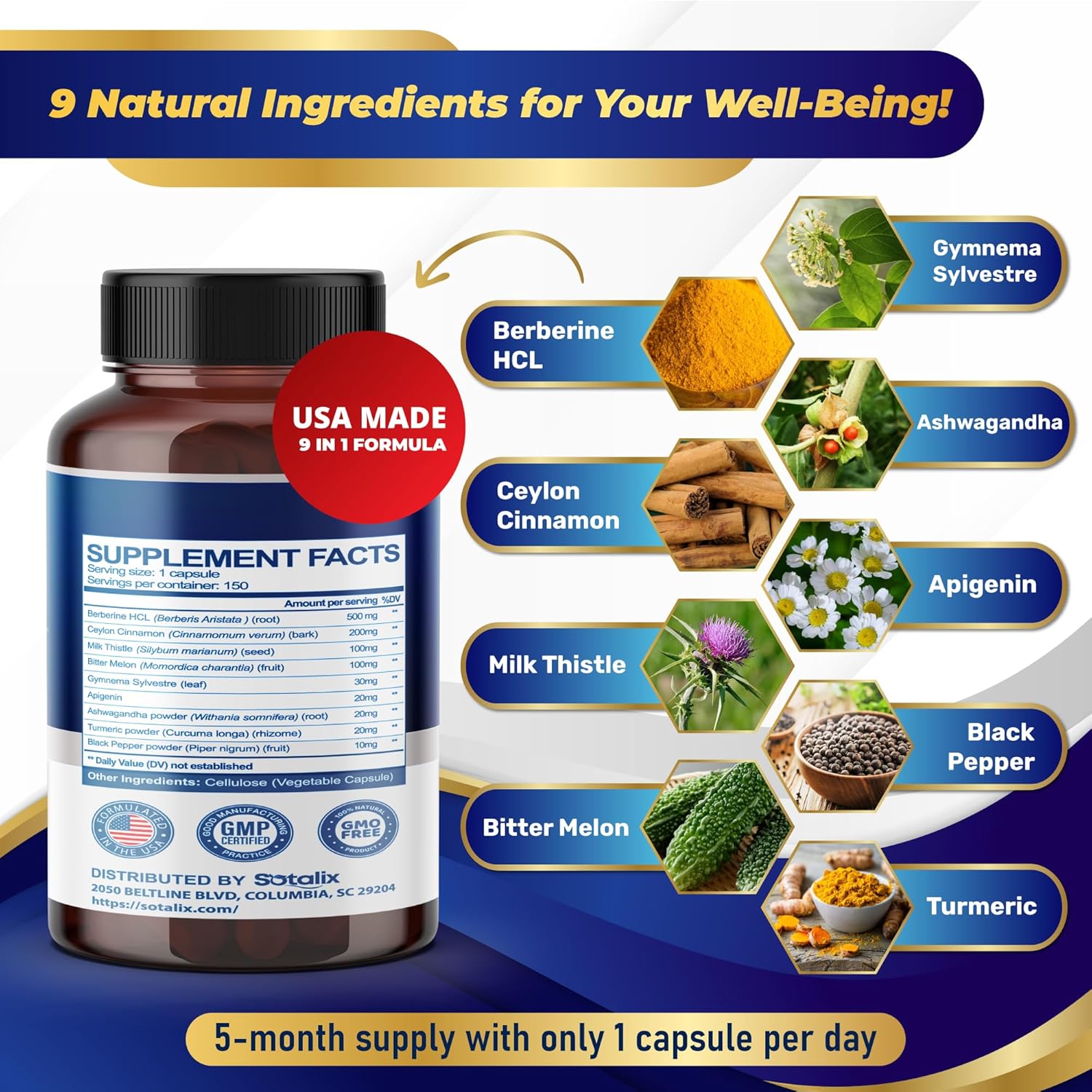 Premium Berberine Supplement with Ceylon Cinnamon, Bitter Melon, Milk Thistle - 150 Day Supply (150 Capsules)