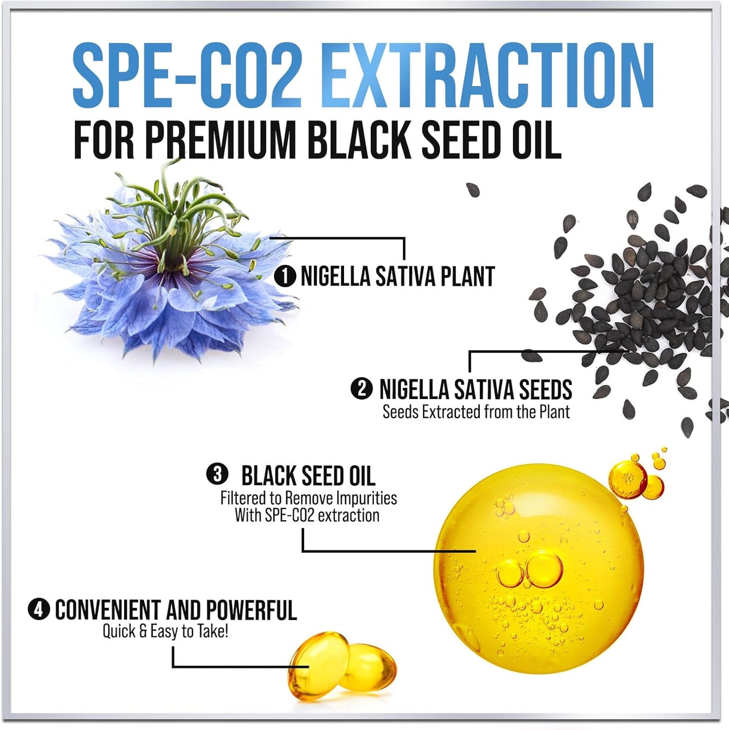Premium Black Seed Oil Capsules 1000mg - Non-GMO & Vegan, Immune Support & Skin Health - Pure Nigella Sativa Black Cumin Seed Oil - 60 Softgels