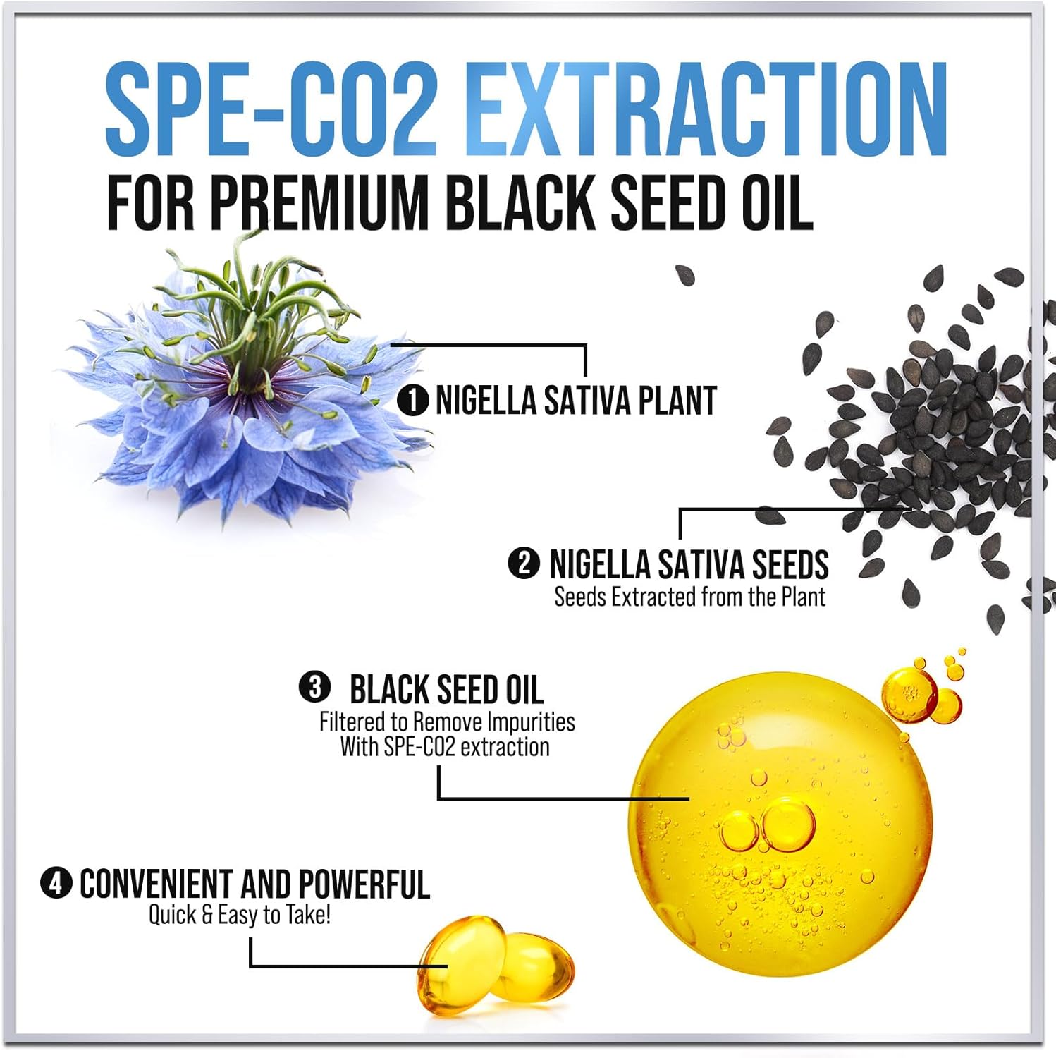 Premium Black Seed Oil Capsules 1000mg - Non-GMO & Vegan, Immune Support & Skin Health - Pure Nigella Sativa Black Cumin Seed Oil - 60 Softgels