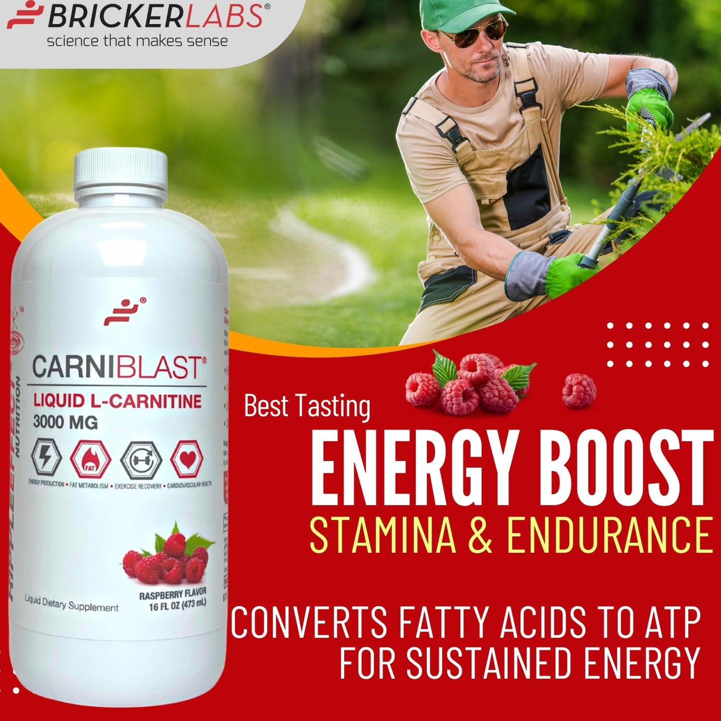 Premium Bricker Labs CARNIBLAST Liquid L-Carnitine 3000mg Energy Supplement, Raspberry Flavor - 16 fl oz