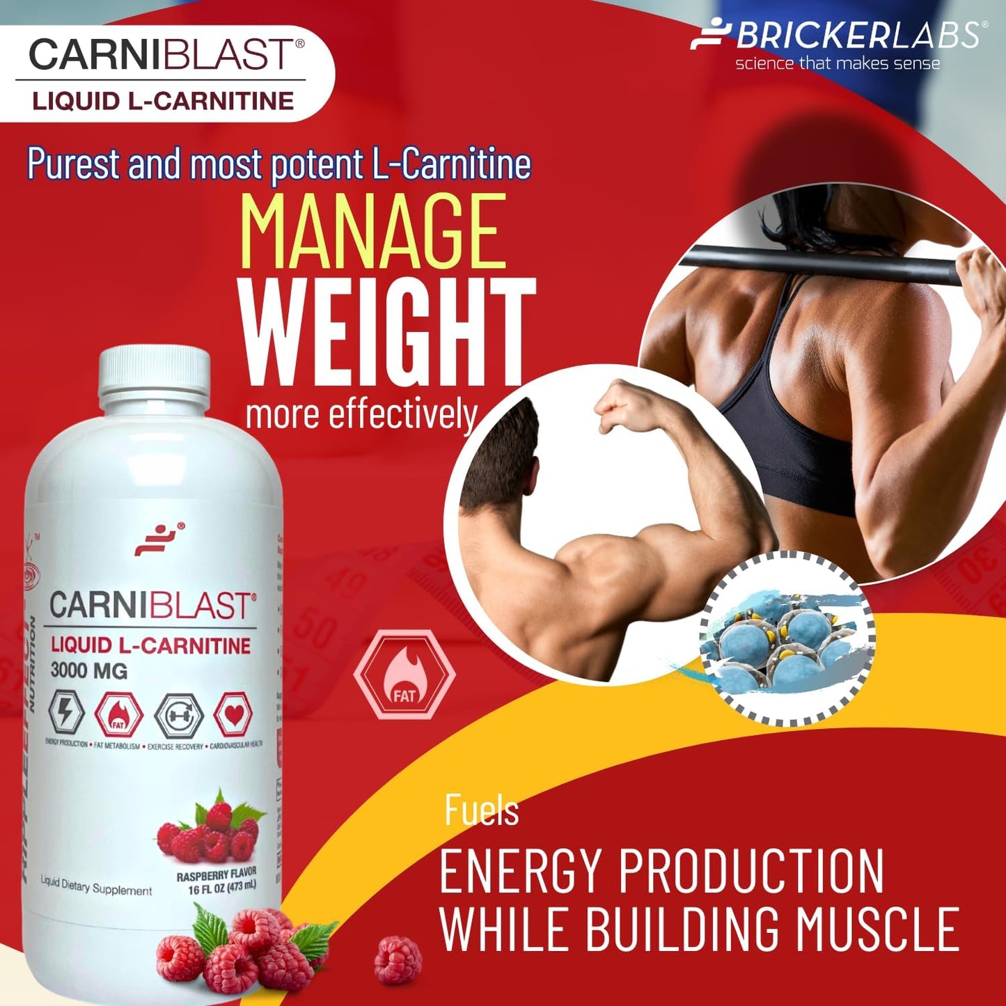 Premium Bricker Labs CARNIBLAST Liquid L-Carnitine 3000mg Energy Supplement, Raspberry Flavor - 16 fl oz