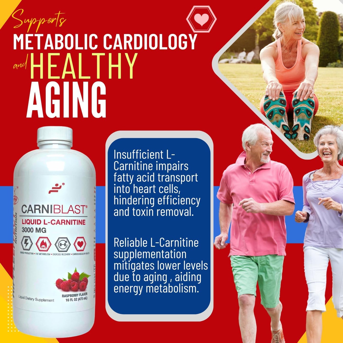 Premium Bricker Labs CARNIBLAST Liquid L-Carnitine 3000mg Energy Supplement, Raspberry Flavor - 16 fl oz