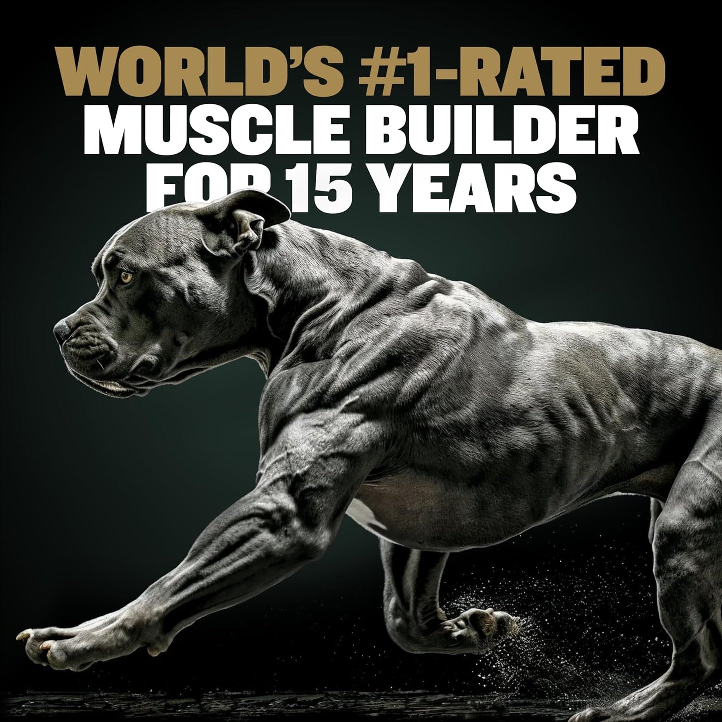 Premium Bully Max Muscle Builder Chews for Dogs - 11-in-1 High Protein Supplement with Amino Acids - Healthy Treats for Puppies & Adults - 75 Soft Chews for All Breeds