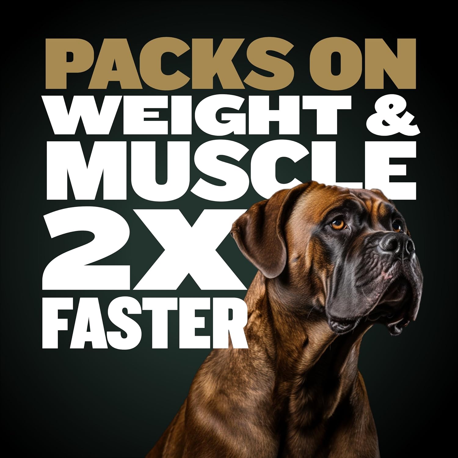 Premium Bully Max Muscle Builder Chews for Dogs - 11-in-1 High Protein Supplement with Amino Acids - Healthy Treats for Puppies & Adults - 75 Soft Chews for All Breeds