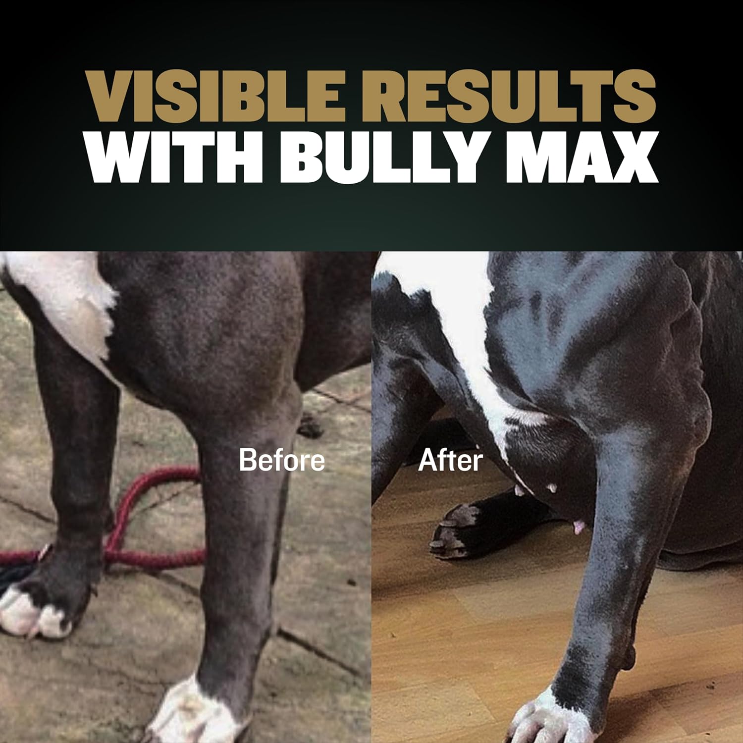 Premium Bully Max Muscle Builder Chews for Dogs - 11-in-1 High Protein Supplement with Amino Acids - Healthy Treats for Puppies & Adults - 75 Soft Chews for All Breeds