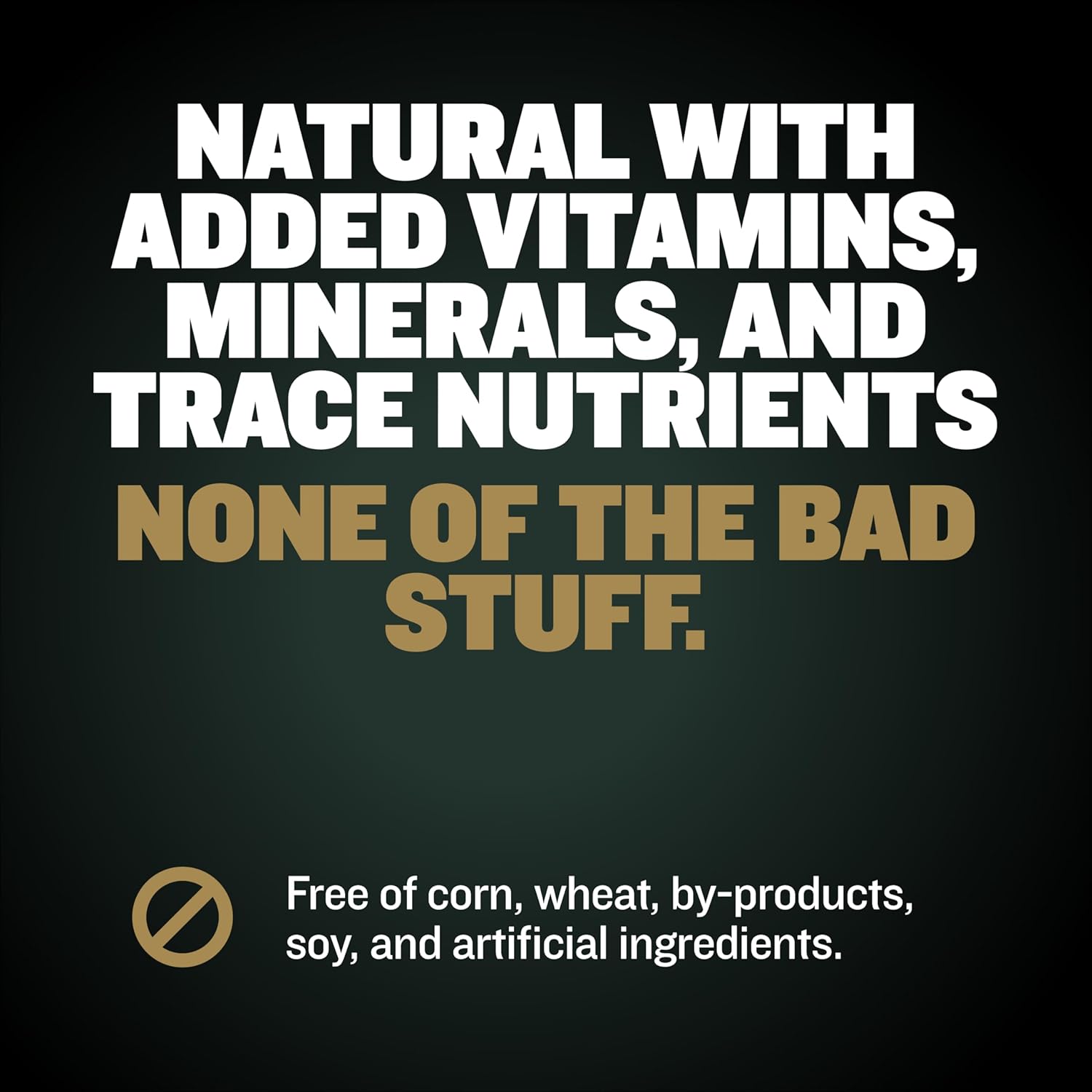 Premium Bully Max Muscle Builder Chews for Dogs - 11-in-1 High Protein Supplement with Amino Acids - Healthy Treats for Puppies & Adults - 75 Soft Chews for All Breeds