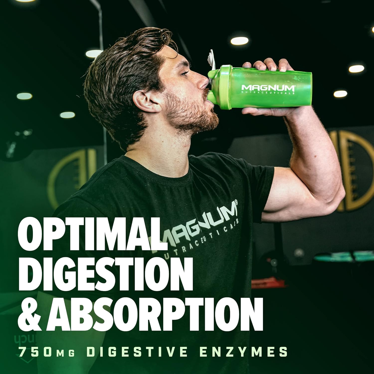 Premium Chocolate Vegan Protein Powder for Muscle Growth & Recovery - Magnum Nutraceuticals Quattro 2lb Plant-Based Isolate