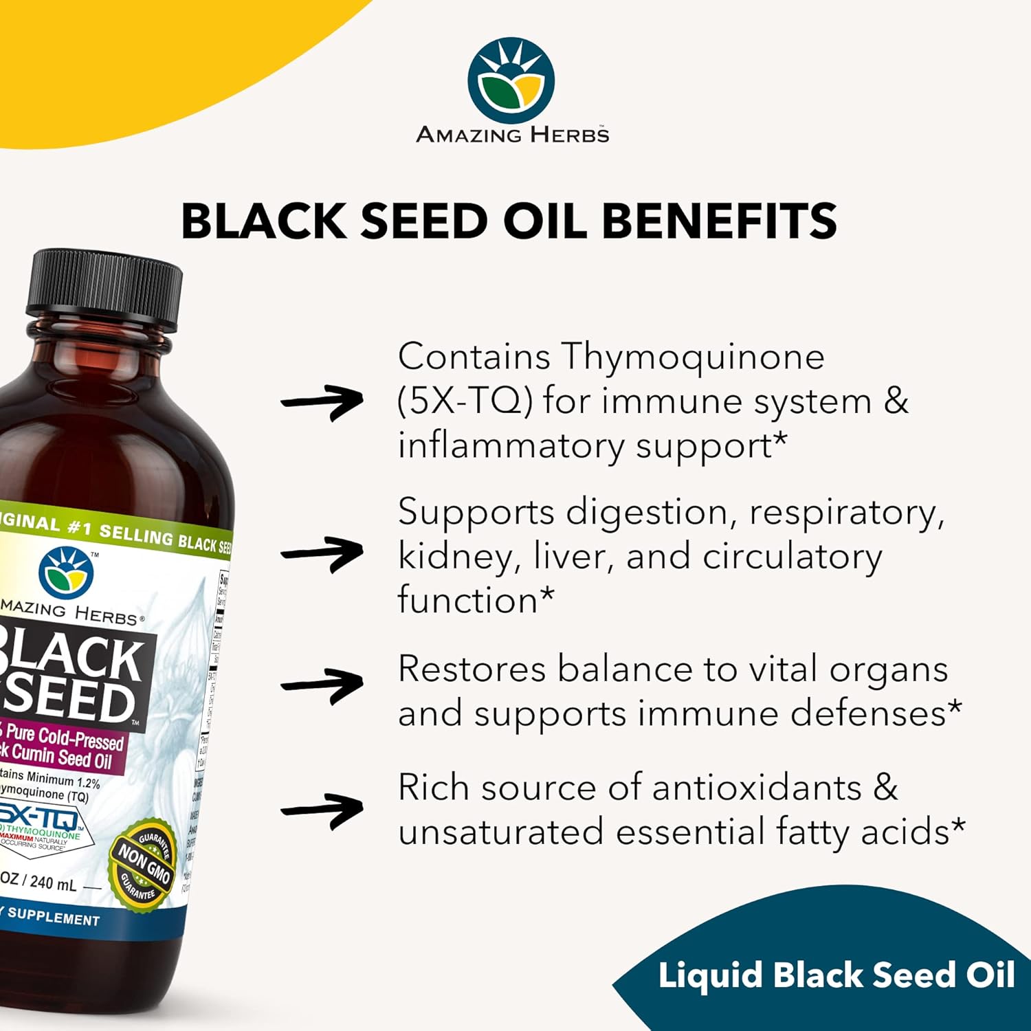 Premium Cold Pressed Black Seed Oil - Gluten Free, Non GMO, 8 Fl Oz - Supports Digestive Health, Immune System, Brain Function - Nigella Sativa