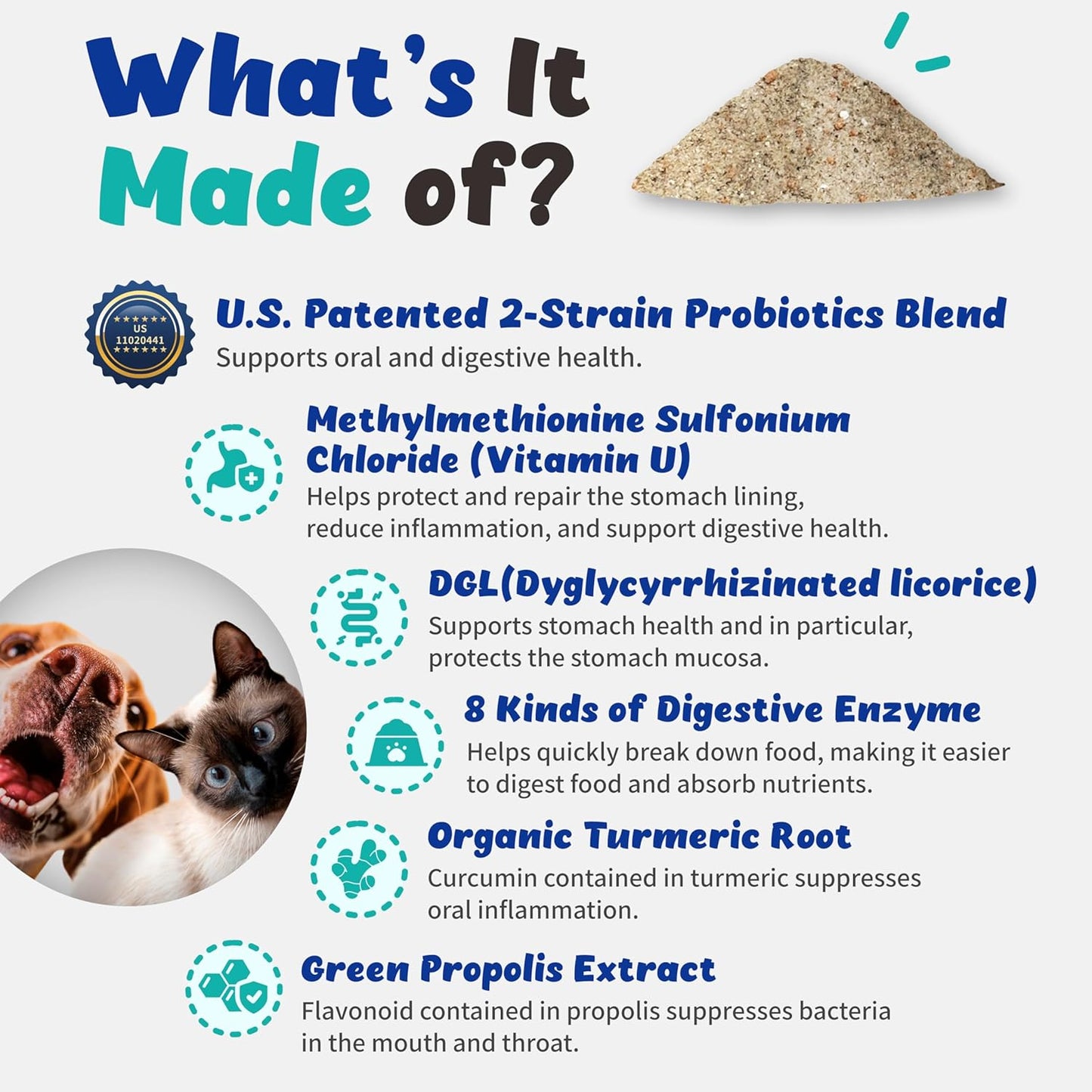 Premium Dental-Stomach Probiotics for Oral Health with Vitamin U, Mastic Gum, DGL, Propolis, Digestive Enzymes - 120g