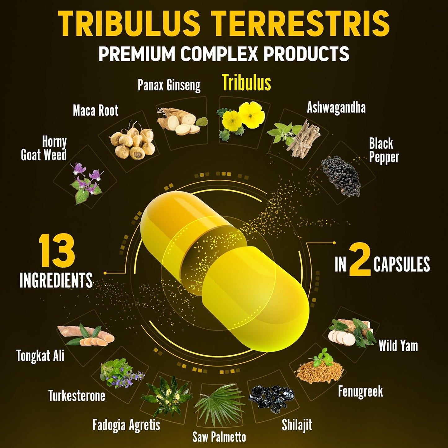 Premium Energy & Stamina Supplement Capsules with 13 Powerful Ingredients for Men & Women - Tribulus Terrestris, Maca, Horny Goat Weed, Panax Ginseng, Saw Palmetto, Tongkat Ali, Shilajit - 120 Count