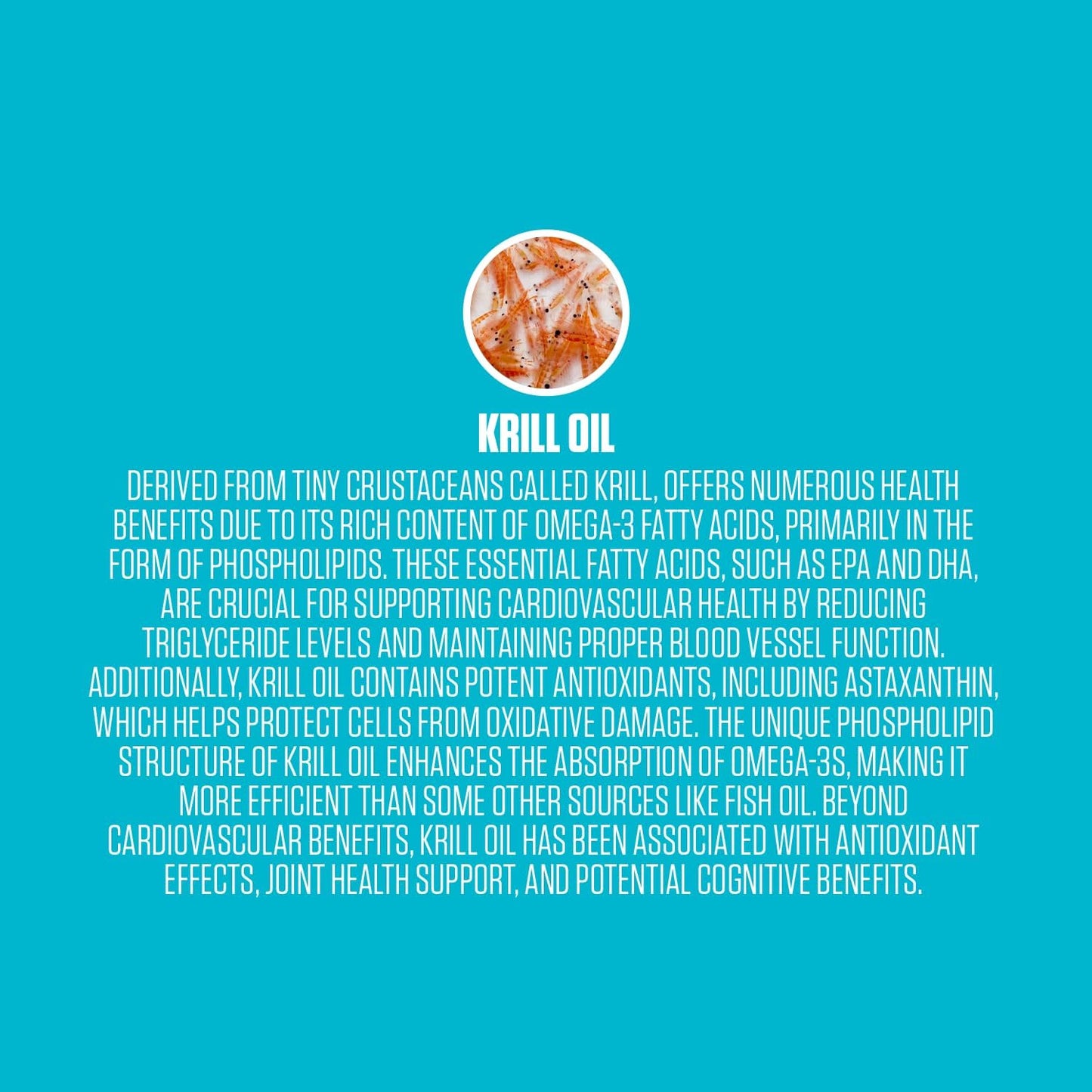 Premium EPN Krill Oil Softgels with Phospholipids, EPA, DHA, Astaxanthin - Brain, Joint, Heart Health - Sustainable Source - 30 Softgels