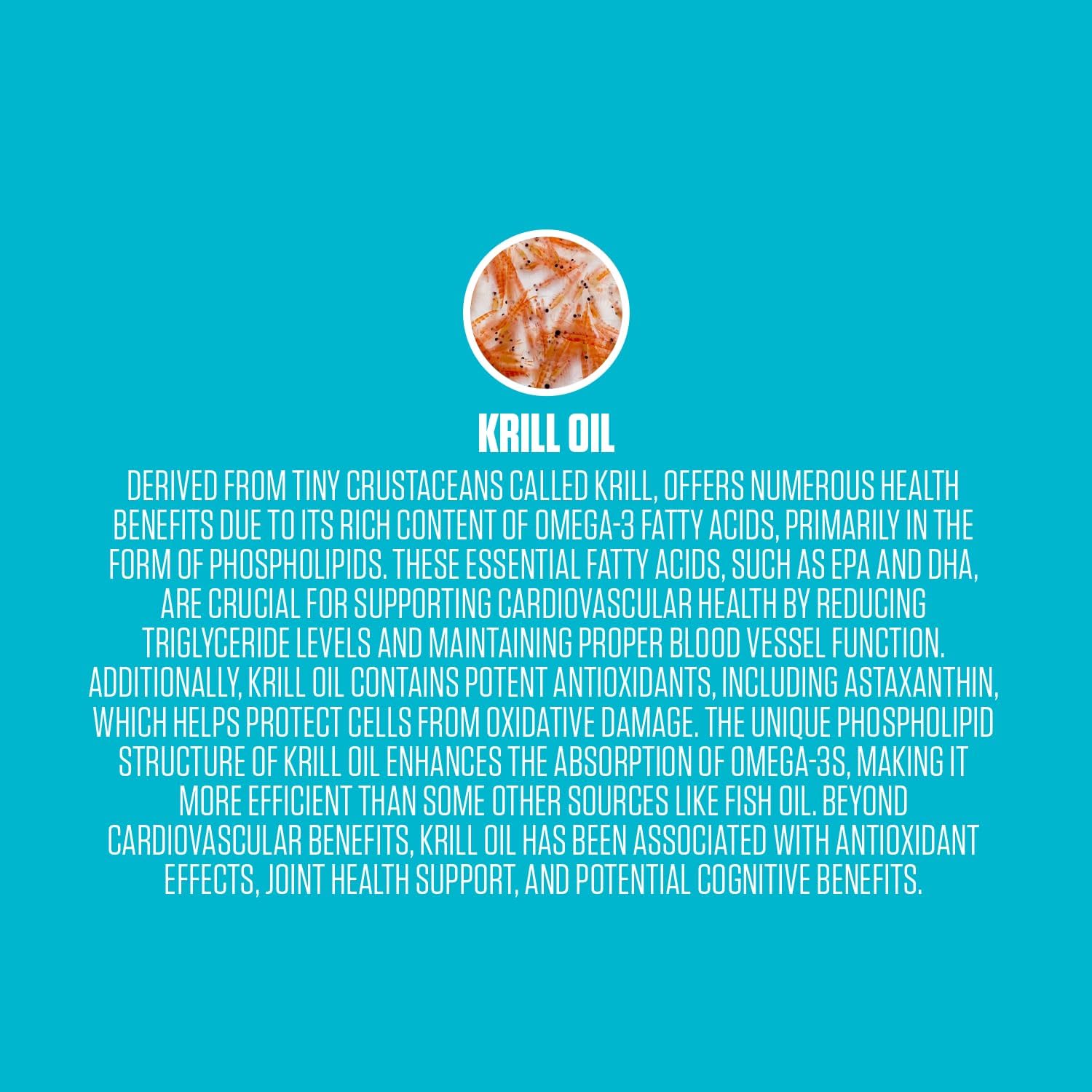 Premium EPN Krill Oil Softgels with Phospholipids, EPA, DHA, Astaxanthin - Brain, Joint, Heart Health - Sustainable Source - 30 Softgels