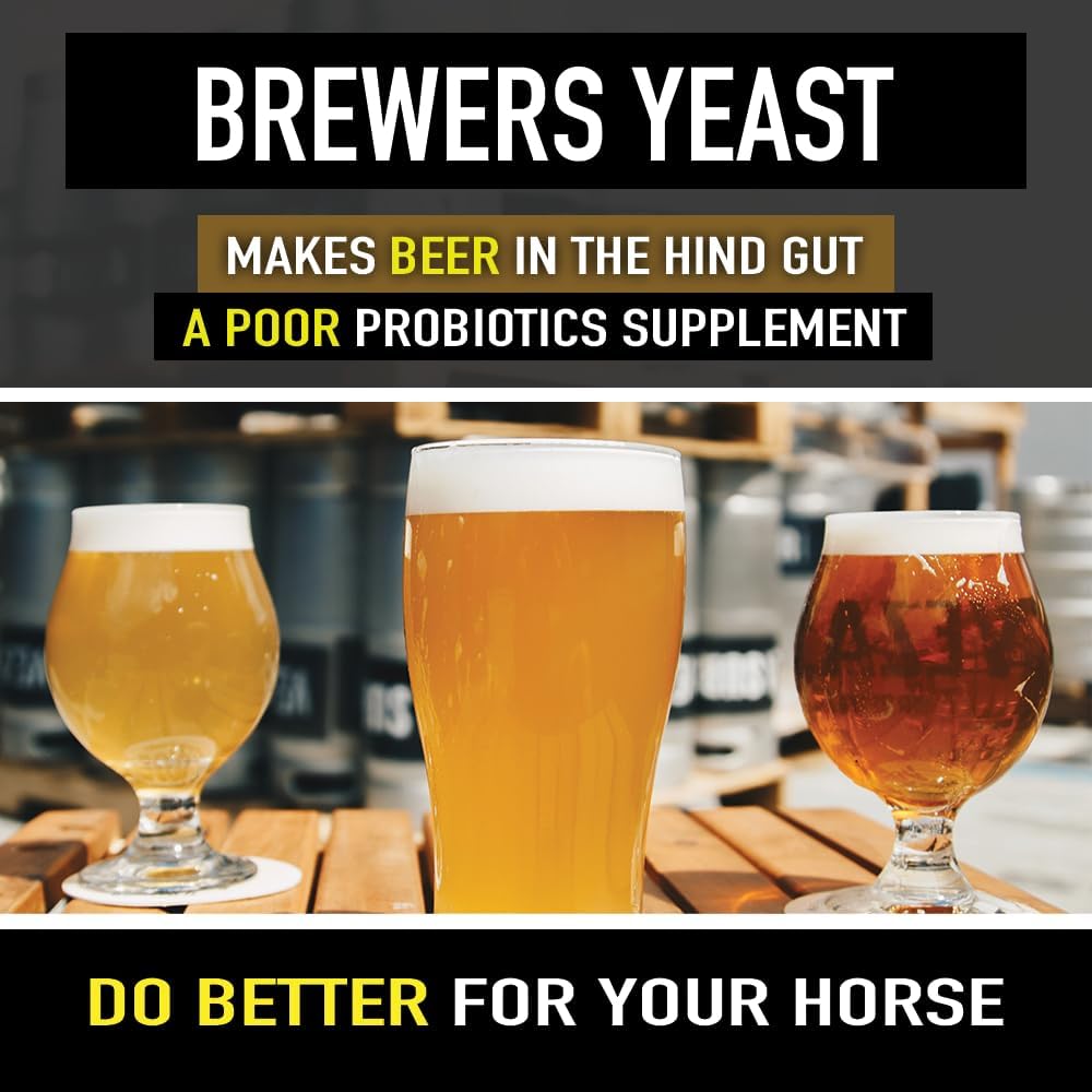 Premium Equine Digestive Health Supplement with Micro-Encapsulated Probiotics for Horses